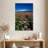 Harnek Echinacea Field-108546235