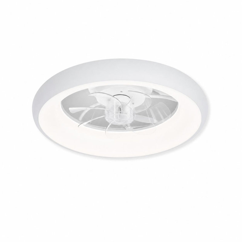 Ceiling Fan