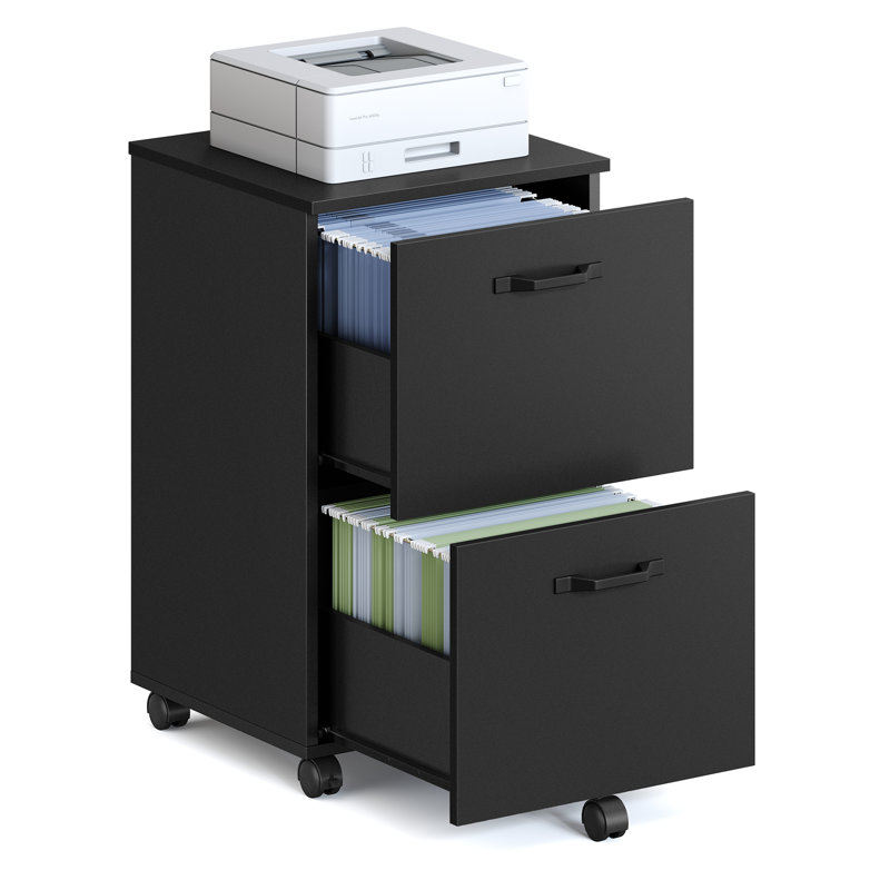 Franny 2 Drawer Filing Cabinet, Black