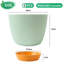 Borsari Pot Planter-1704381924