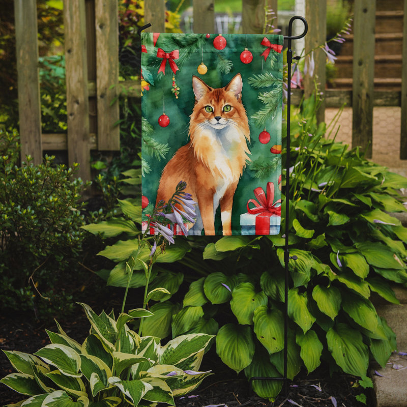 Drapeau de jardin Pixie Bob, Somali