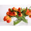 Arrangement floral de tulipes dans un vase-270152389