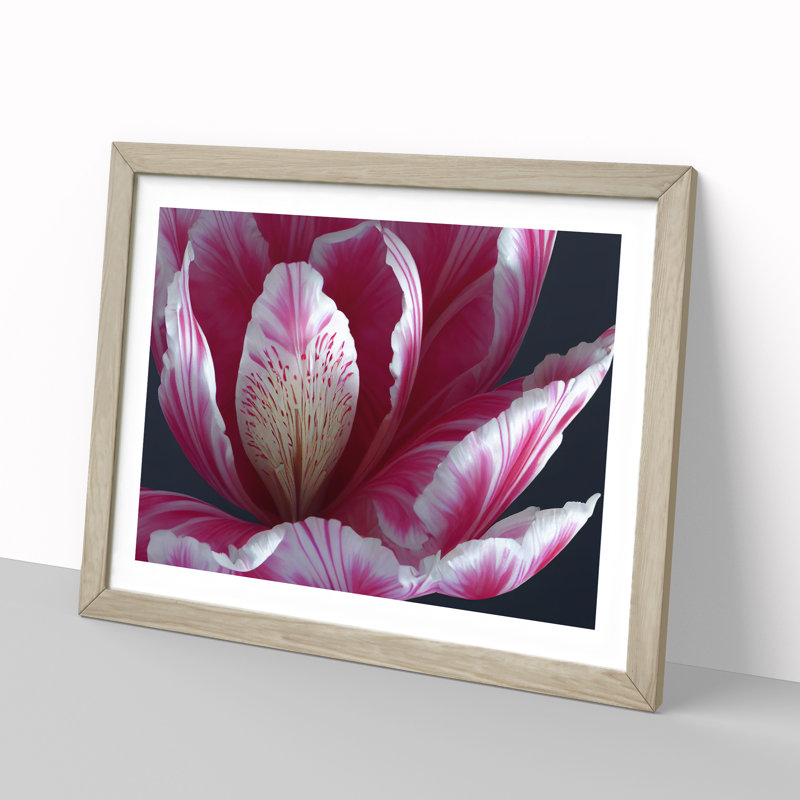 Enlightening Flower - Single Picture Frame Print, 25cm H x 34cm W x 2cm D, Oak Framed