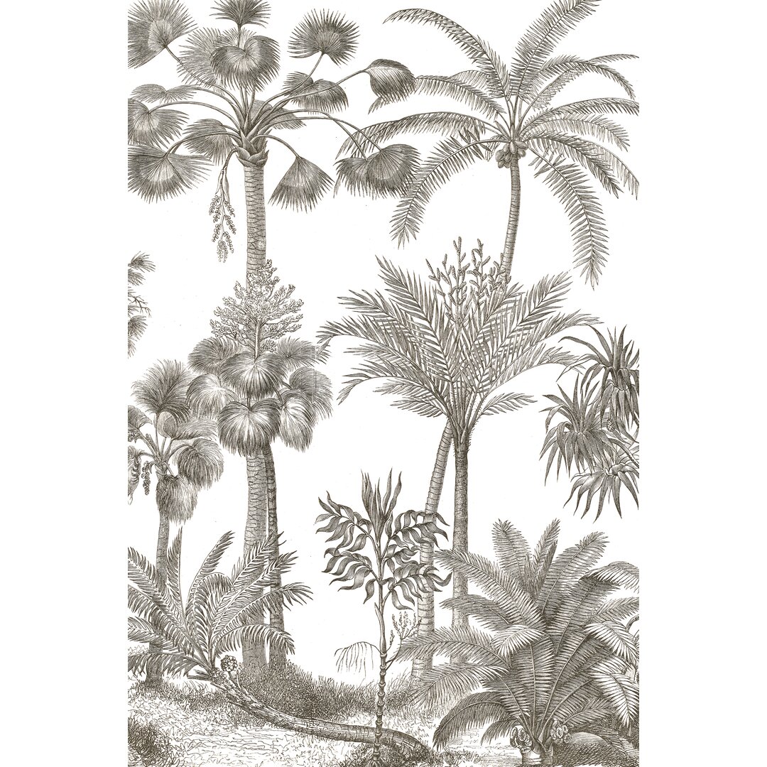 Leinwandbild Palm Oasis II von Wild Apple Portfolio