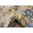 Bellona Ikat Indoor Rug-40276091