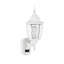 41.9cm H Outdoor Sconce-270734677