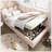 Upholstered Daybed with Hydraulic Storage, Twin Size, Velvet Fabric, Metal Slatted Frame, Space-Saving Design-1299210728