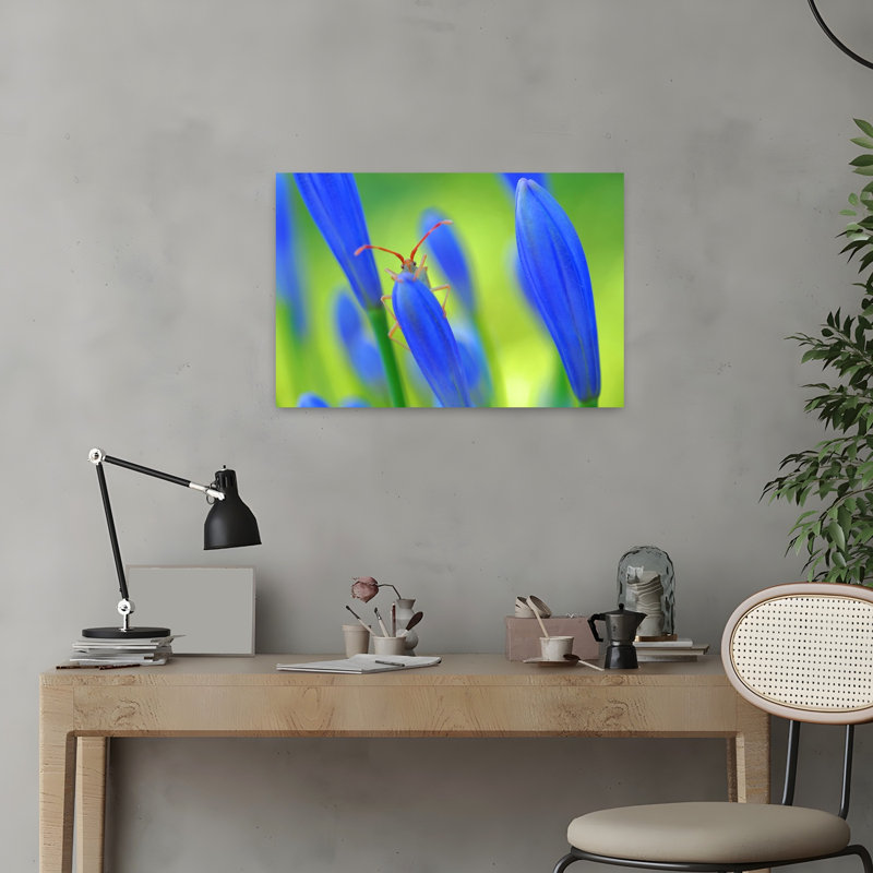 Curious Bug Blue Bud Delicate Vibrant Flower Nature Wall Art Print by Thierry Dufour - Print, 40.64cm H x 60.96cm W