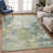 Machine Washable Indoor/Outdoor Jadiel ACN2367 Abstract Rug-392656909
