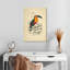 Brampton Toucan Du Para-108472833