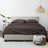 Ultra Soft Double Brushed 4 Piece Sheet Set – Deep Pocket Fade Resistant Bedding-411728328-411728341