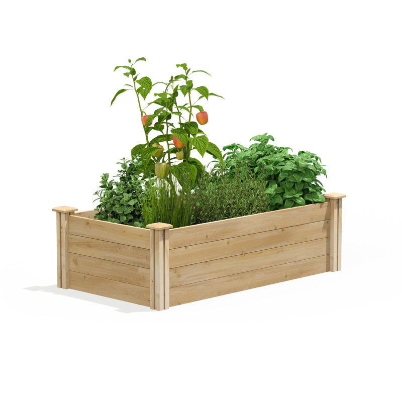 Lit de jardin surélevé en cèdre Original, H 14 po x l 48 po x P 24 po