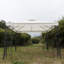 Milanna 3m x 3m Metal Party Tent