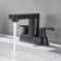 Centerset 2-Handle Bathroom Faucet with Drain Assembly