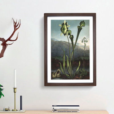 Bog Plants by R.J. Thornton - Picture Frame Painting Print