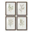 Simple Sprig I - ensemble de 4 reproductions de cadres photo-2075732642-2075732647