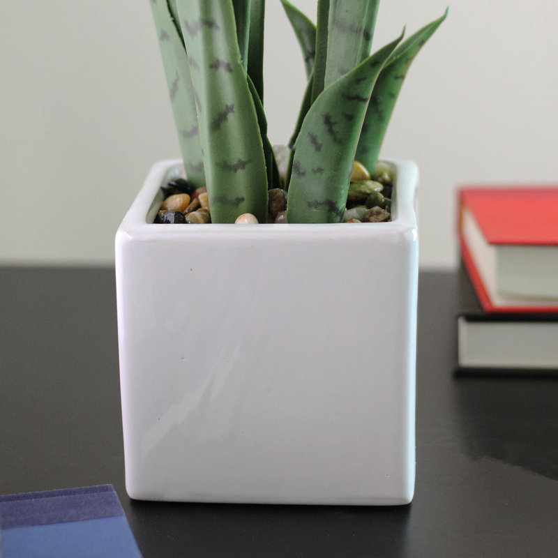Plante grasse artificielle 21 po dans un pot carré décoratif en céramique blanche