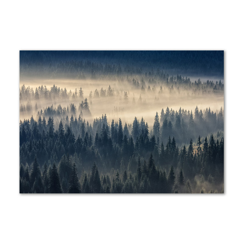 Fog Over The Forest - Wrapped Canvas Print