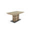 Fauzia Extendable Dining Table-2030122445