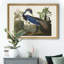 Louisiana Heron - reproduction d'art sur toile-143757992-143757995