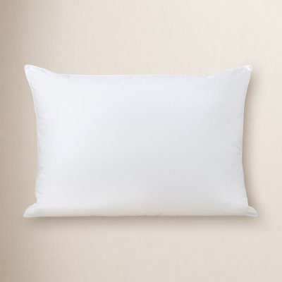 Terron Plush Down Pillow