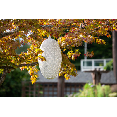 Palmier Stella Geo - blanc