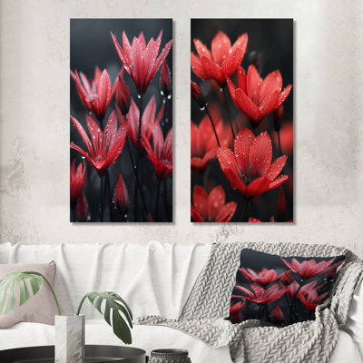Monochromes rouges, noirs, pissenlits, gouttes de pluie