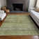 Machine Washable Indoor/Outdoor Cicel ACN1174 Aloe Rug
