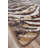Abimbola Animal Print Indoor Rug-1083554252