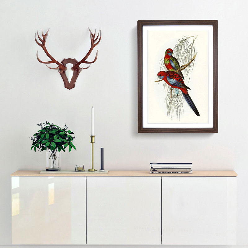 Pennant's Parakeets by Elizabeth Gould - Picture Frame Painting Print, Walnut Framed, 65cm H x 48cm W x 2cm D