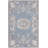 Erica Floral Indoor Rug-1708739892