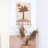 WALL HANGING LITTLE PALM