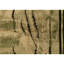 Hand Knotted Wool Area Rug in Light Green And Black
