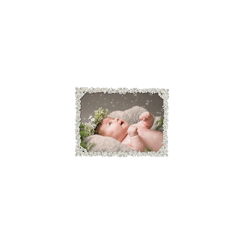 Princess Metal Picture Frame, 8" x 10", Silver