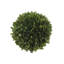 36" Double Boxwood Topiary in Pot