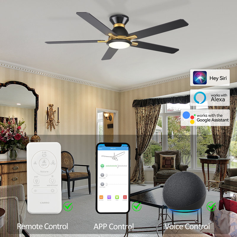 52" Smart Ceiling Fan with Light, Black, Black