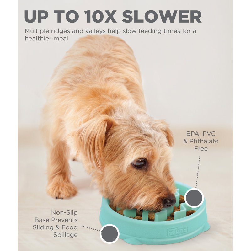 Small Mint Plastic Slow Feeder Dog Bowl