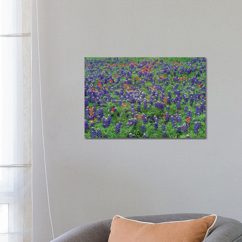 Sand Bluebonnet and Paintbrush Flowers, Hill Country, Texas II 1 Piece Wrapped Canvas Wall Art