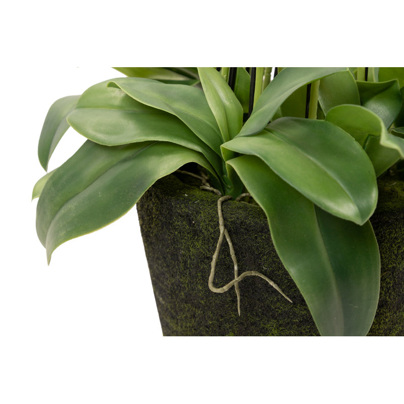 155cm Faux Flowering Plant in Pot
