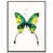 Black Floater Frame