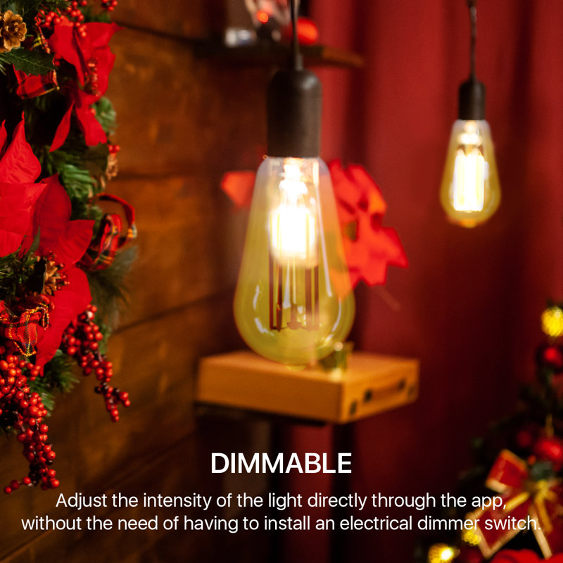 8 Watt (60 Watt Equivalent), ST19 LED Smart, Dimmable Light Bulb, Tunable White E26/Medium (Standard) Base