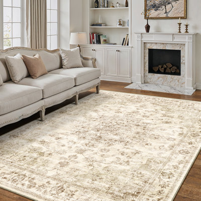 Oriental Area Rug
