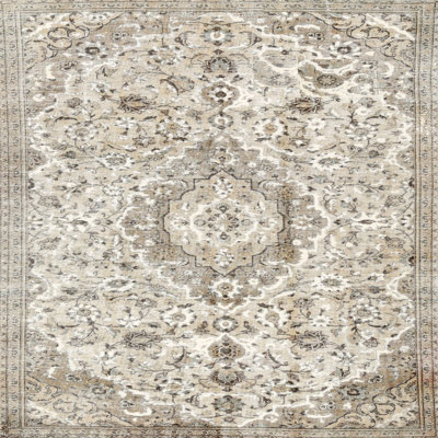 Wisby Oriental Indoor Rug