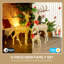 Christmas Decoration