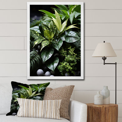 " Plants Botanical Oasis Black "