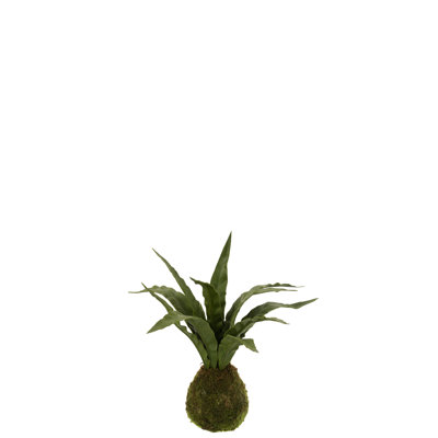 30 cm H Faux Snake Plant