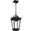 Lanterne suspendue d’extérieur 18,75 po 1 ampoule Ebenezer