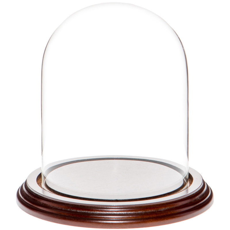 Vucciria 4.5" x 6" Glass Display Dome Cloche, Dark Mahogany Veneer Base