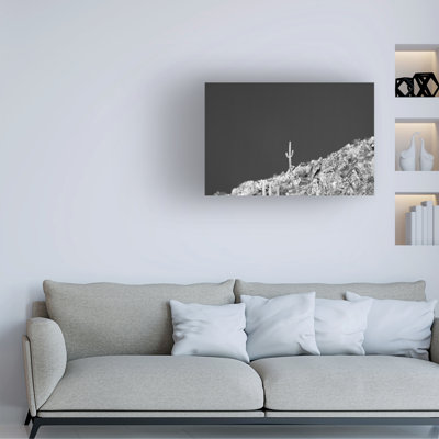 «Trademark Fine Art», art mural sur toile «King of the Mountain» par Nathan Larson