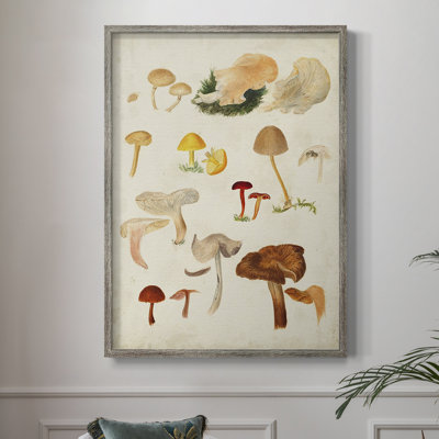 Reproduction encadrée de champignon Mushroom Species